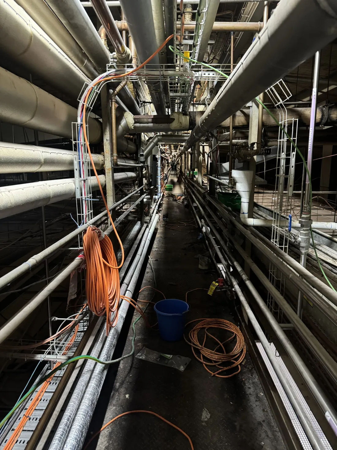 Services running through a production plant